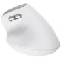 Trust Bayo II Ratón Ergonómico Vertical Inalámbrico Blanco
